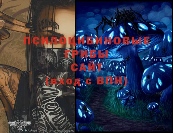 экстази Каменногорск