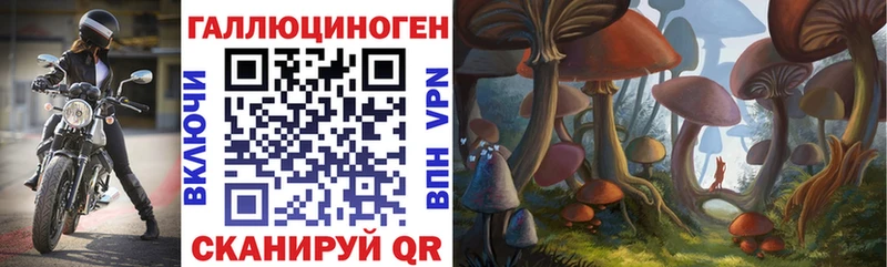 Купить где  Щёлково  Галлюциногенные грибы Cubensis 